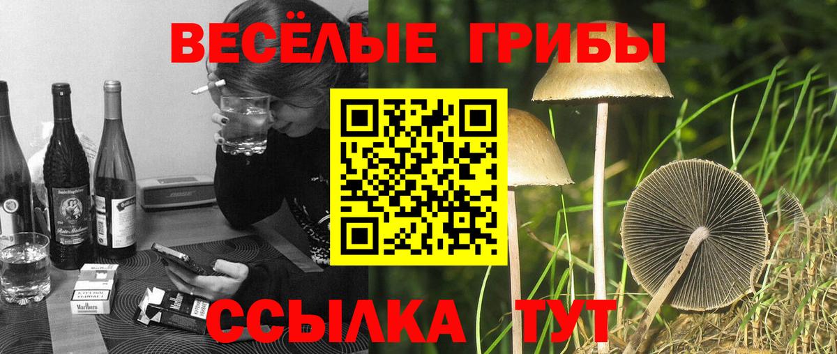 Галлюциногенные грибы прущие грибы  Галлюциногенные грибы мицелий  Вход с VPN  Благовещенск 